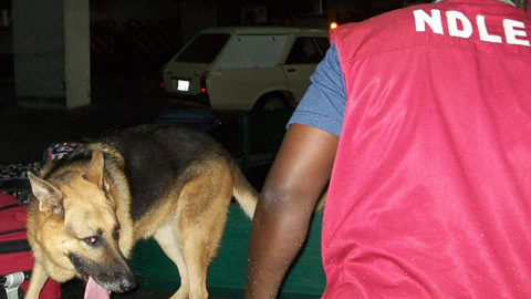 NDLEA agents at the Lagos MMA Airport